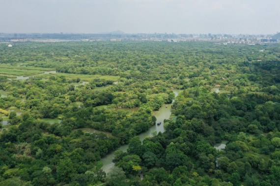 Xi Focus: Xi makes instructions on China's first National Ecology Day